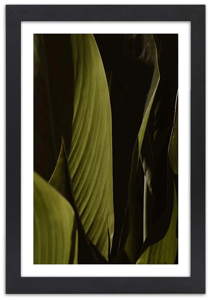 Gario Plagát Zelené listy trópov Farba rámu: Bez rámu, Rozmery: 40 x 60 cm