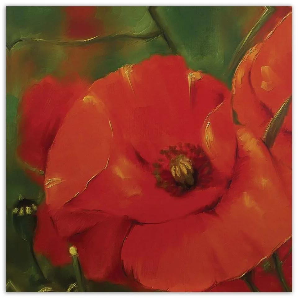 Obraz na plátně Červený mák Rostliny - 60x60 cm