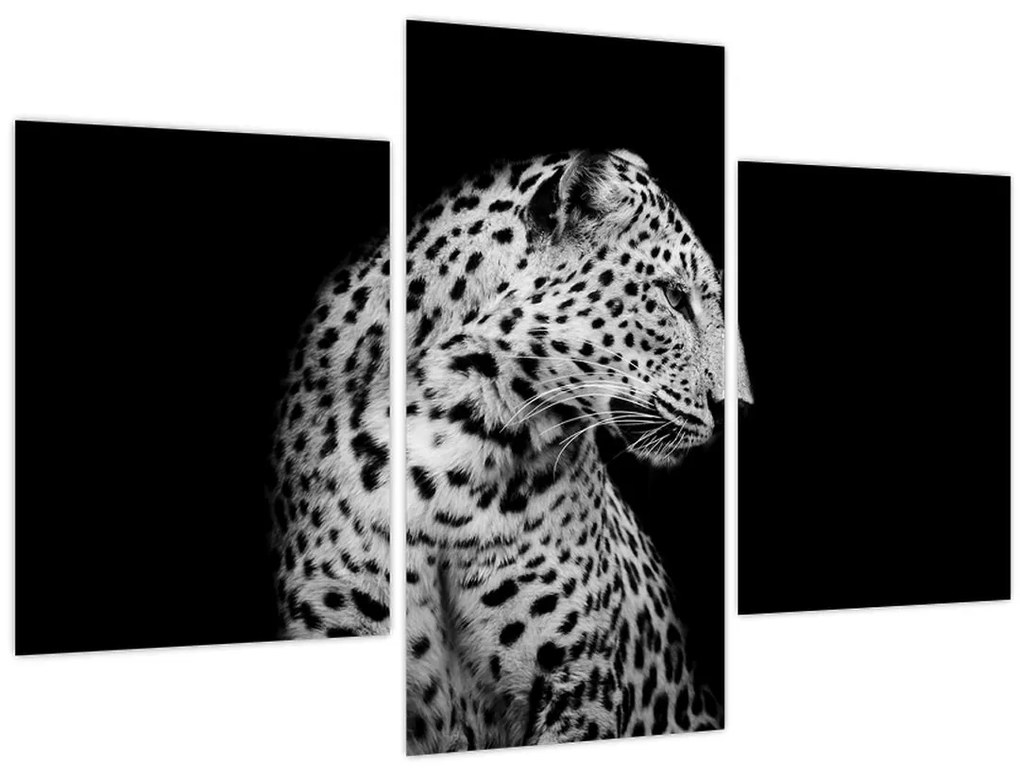 Obraz - Leopard (90x60 cm)