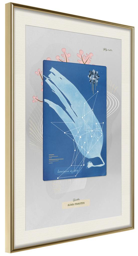 Artgeist Plagát - Alga [Poster] Veľkosť: 20x30, Verzia: Zlatý rám