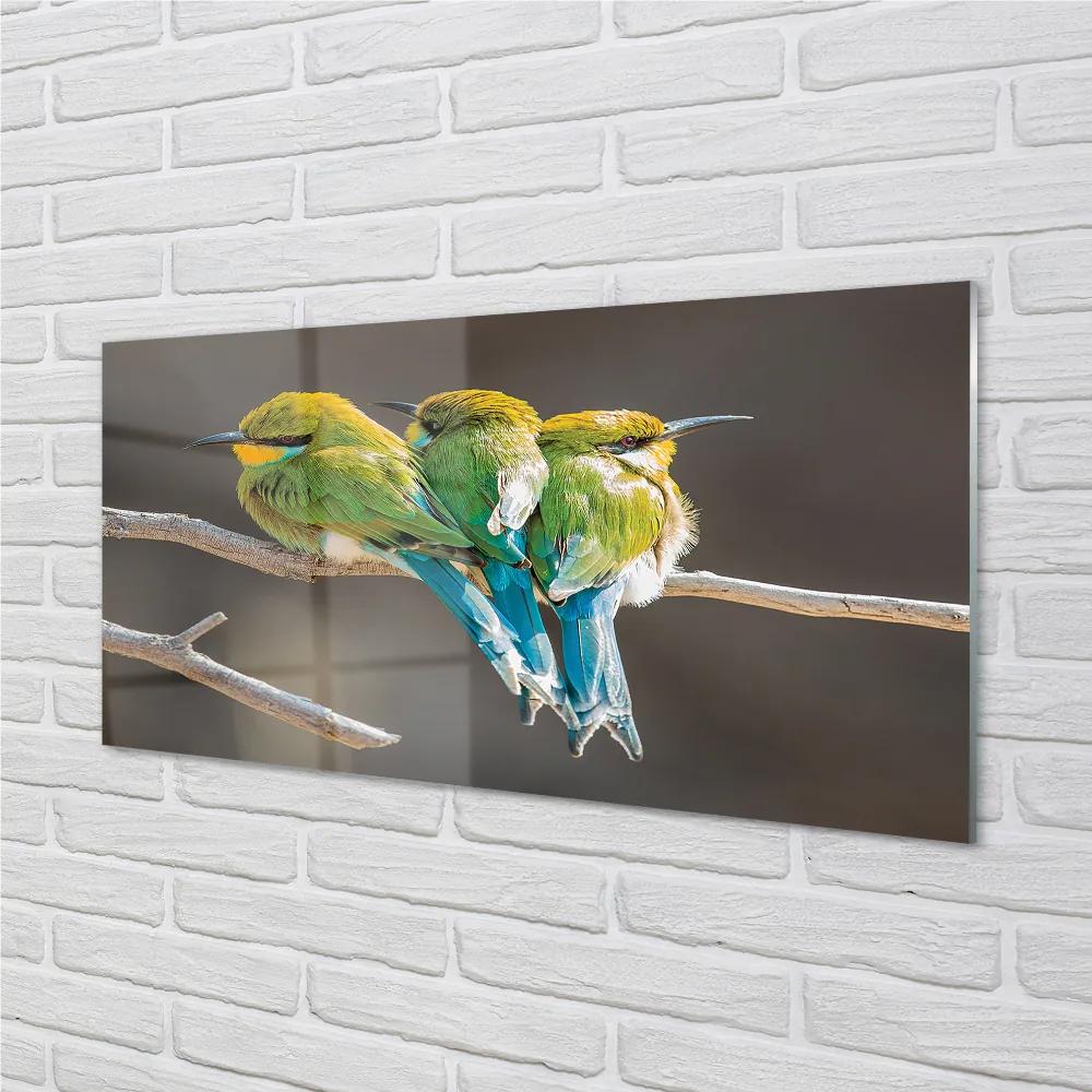Nástenný panel  Vtáky na vetve 100x50 cm