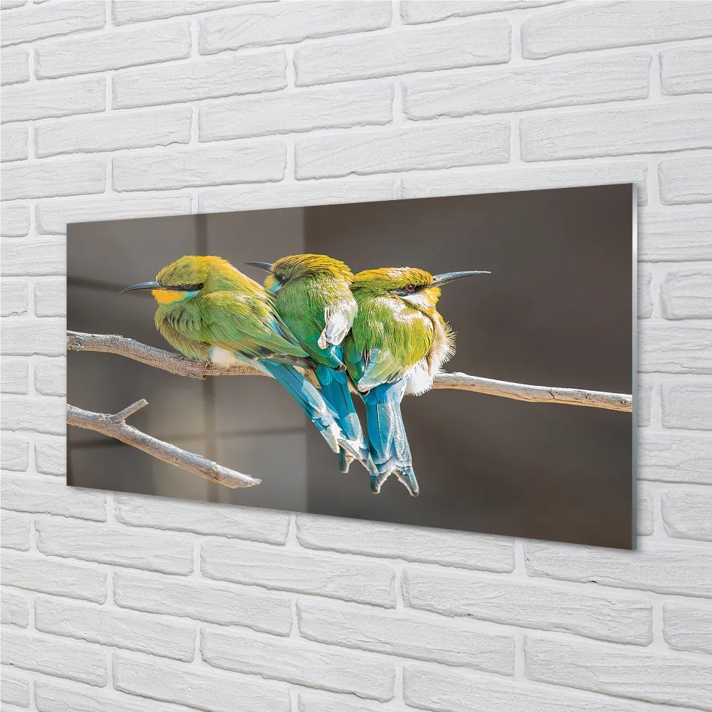 Nástenný panel  Vtáky na vetve 120x60 cm