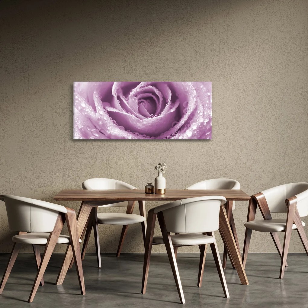 Obraz detailu kvetu ruže (120x50 cm)