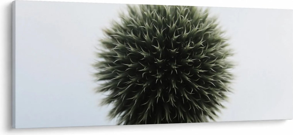 Obraz kvetinové gule (120x50 cm)