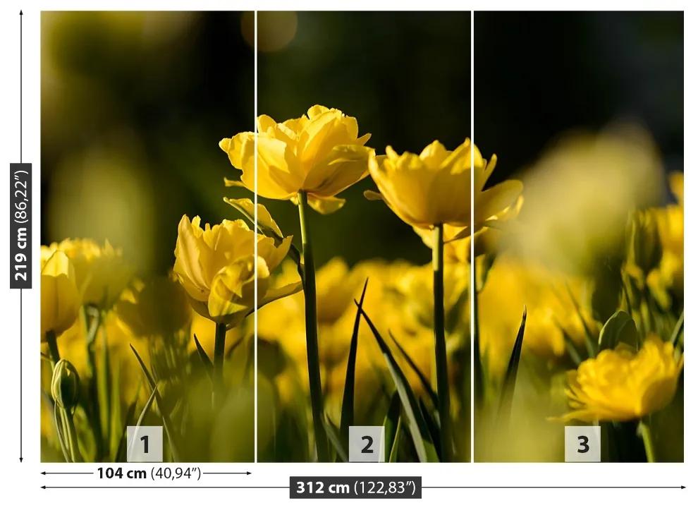Fototapeta Vliesová Žltý tulipán 208x146 cm