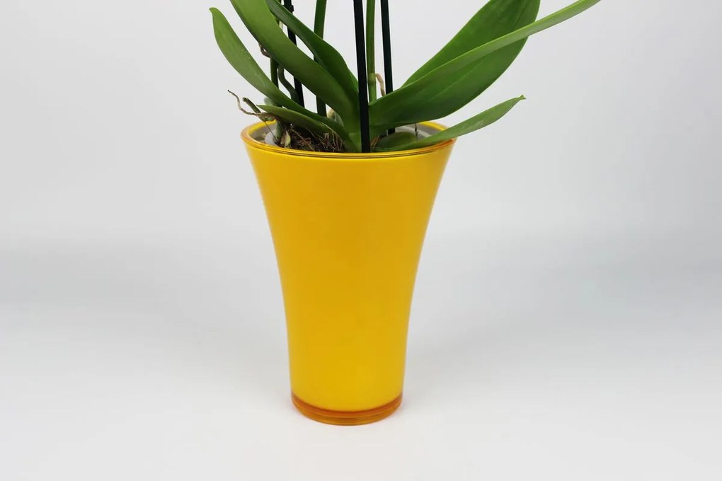 Žltý plastový kvetináč na orchideu 20 cm