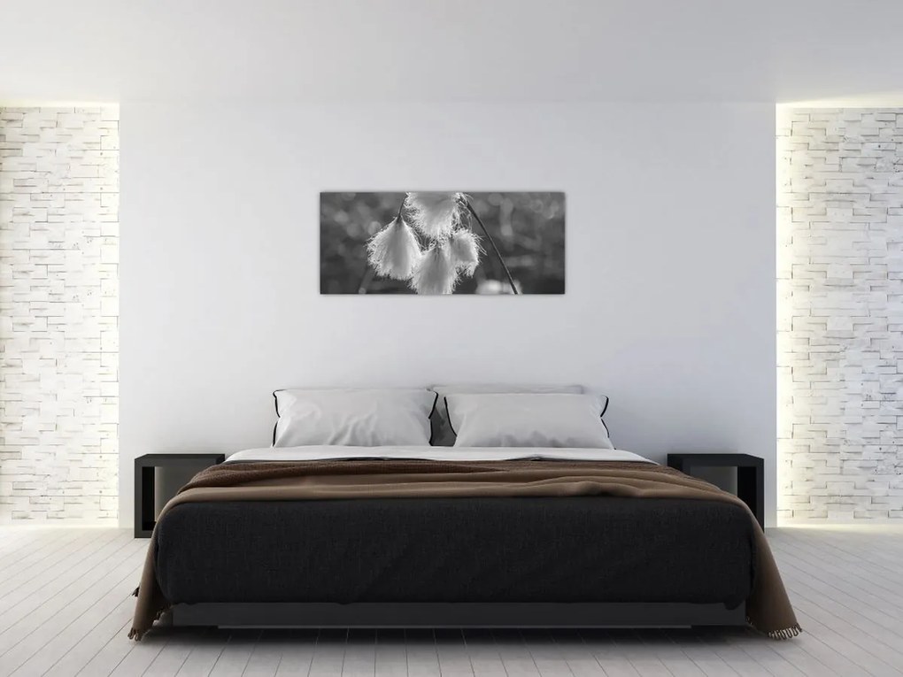 Obraz - Cottongrass (120x50 cm)