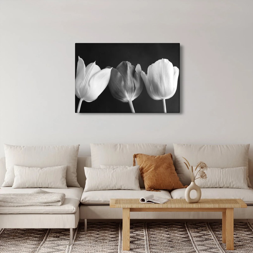 Obraz - Čiernobiele kvety tulipánov (90x60 cm)