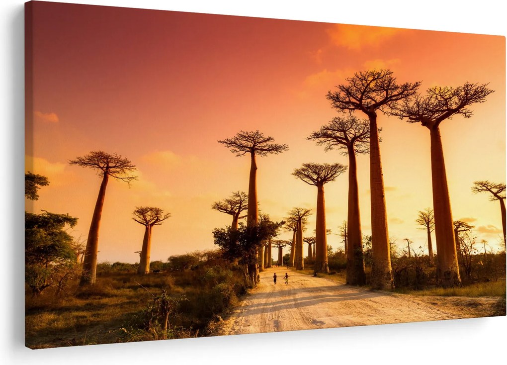 Obraz - Západ slnka v uličke Baobab (90x60 cm)