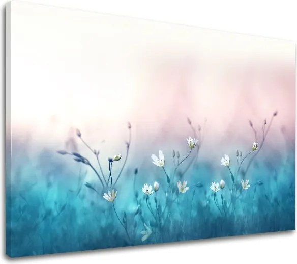 Obraz na stenu BIELE KVETY_156-11