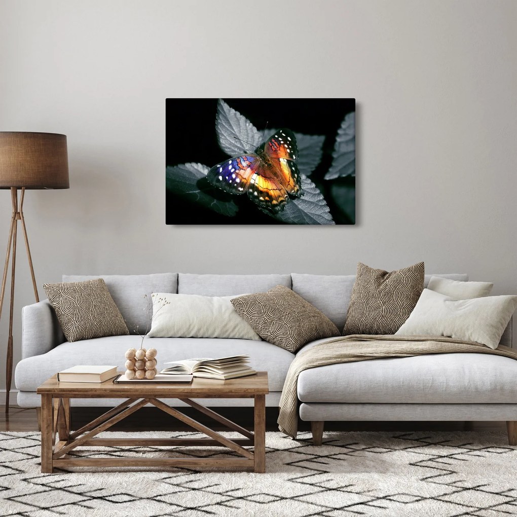 Obraz motýľa (90x60 cm)