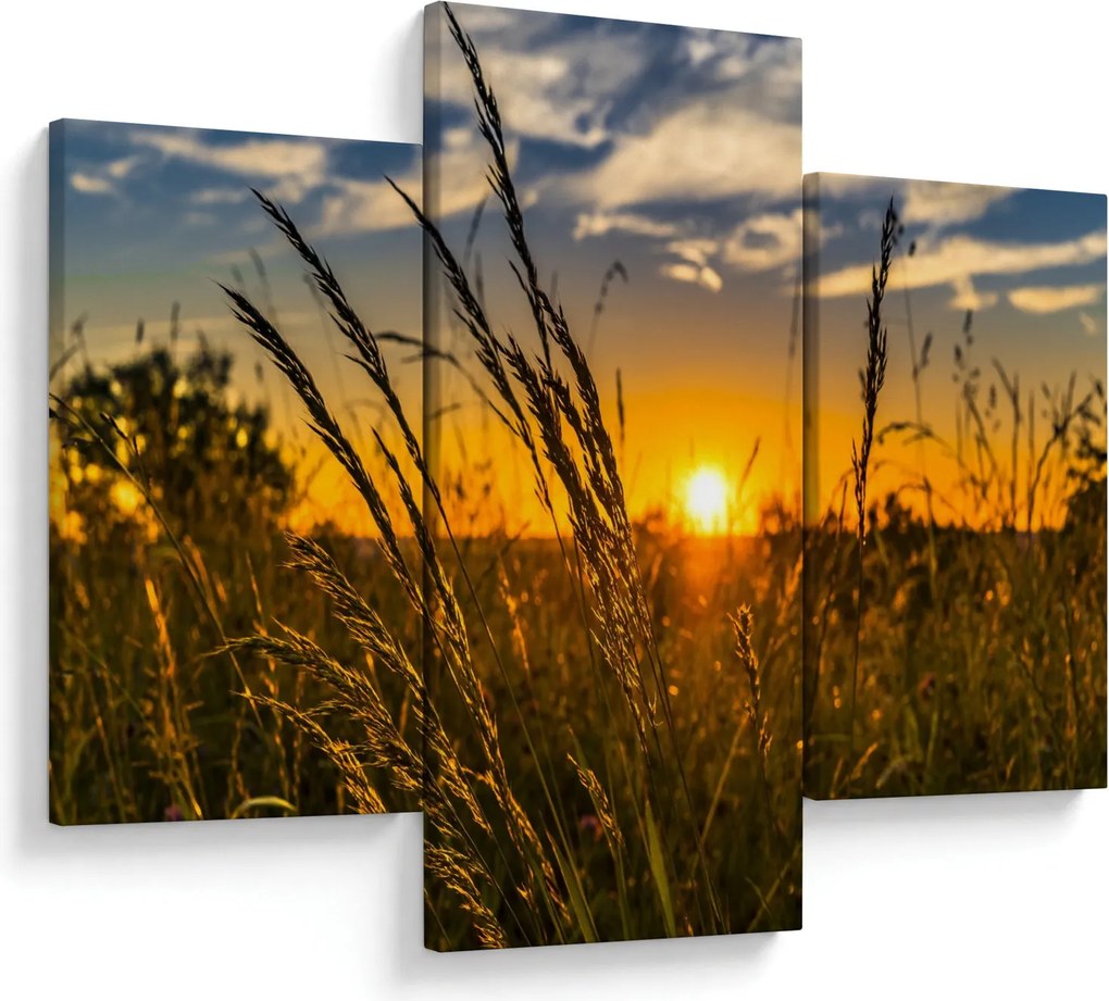Obraz pole pri západe slnka (90x60 cm)