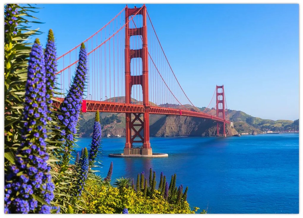 Sklenený obraz - Golden Gate Bridge, San Francisco (70x50 cm)