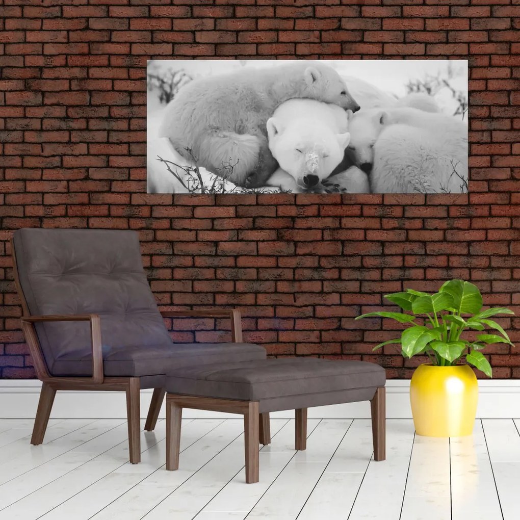 Obraz - Ľadové medvede (120x50 cm)