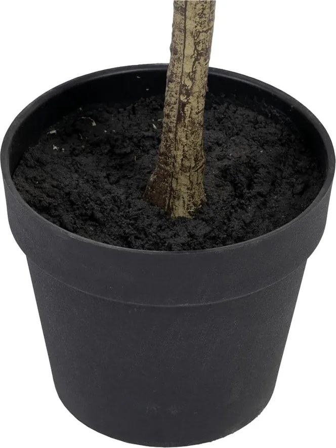 Umelý eukalyptus (výška 180 cm) Eucalyptus – Ixia