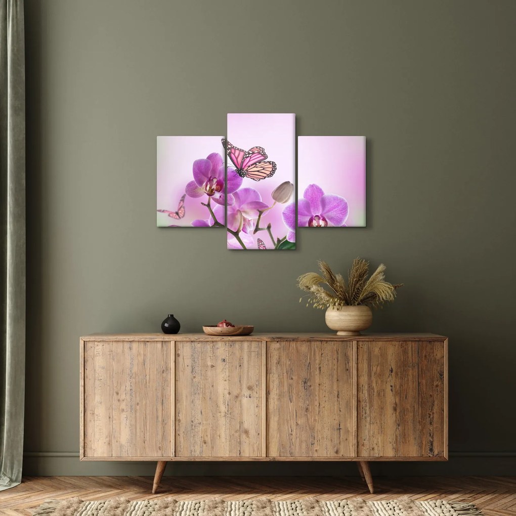Obraz - Motýľ na kvetoch orchidey, lila (90x60 cm)