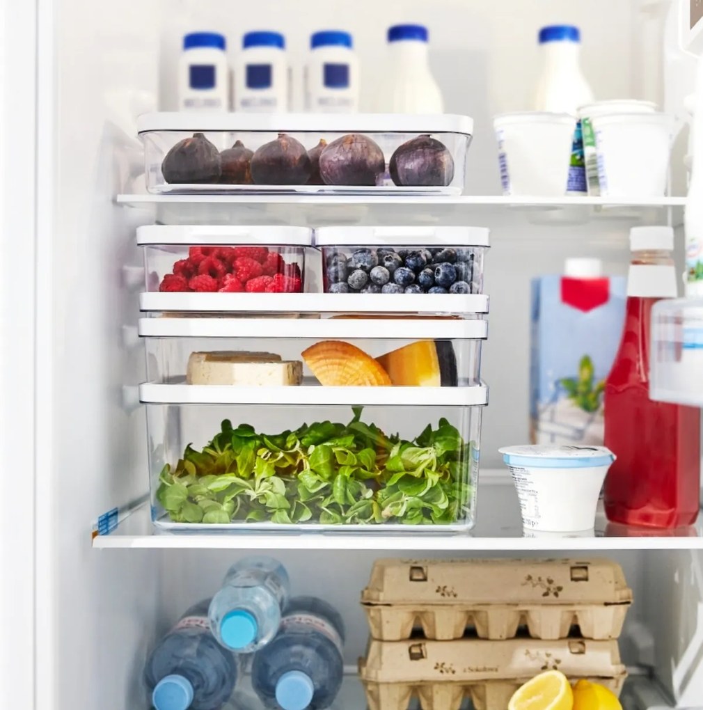 Rotho Organizér do chladničky, s vekom a špeciálnou podložkou 2,15l CAUMA