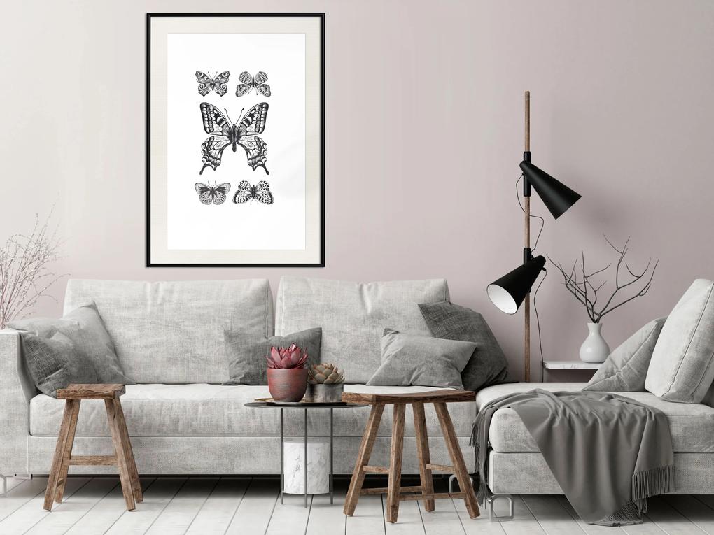 Artgeist Plagát - Five Butterflies [Poster] Veľkosť: 30x45, Verzia: Zlatý rám s passe-partout
