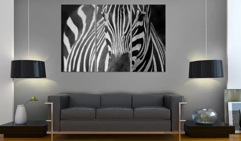 Artgeist Obraz - Mrs. Zebra Veľkosť: 90x60, Verzia: Premium Print