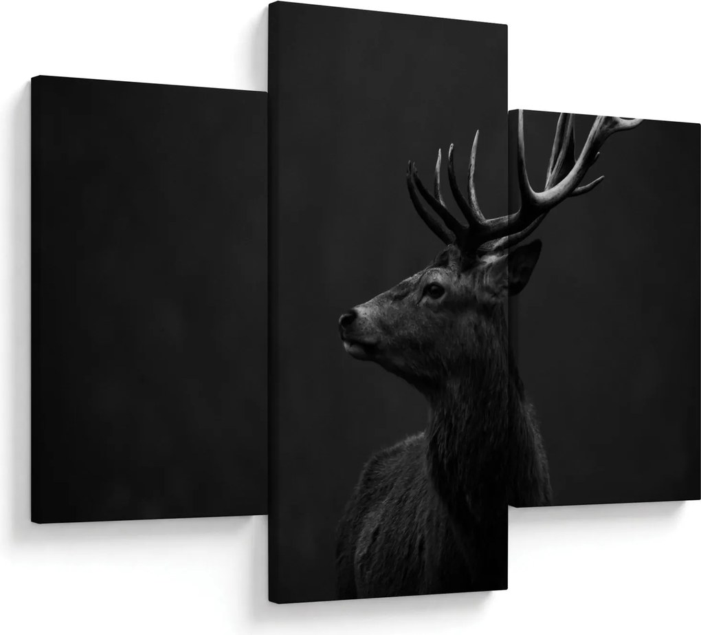 Obraz - Portrét jeleňa (90x60 cm)
