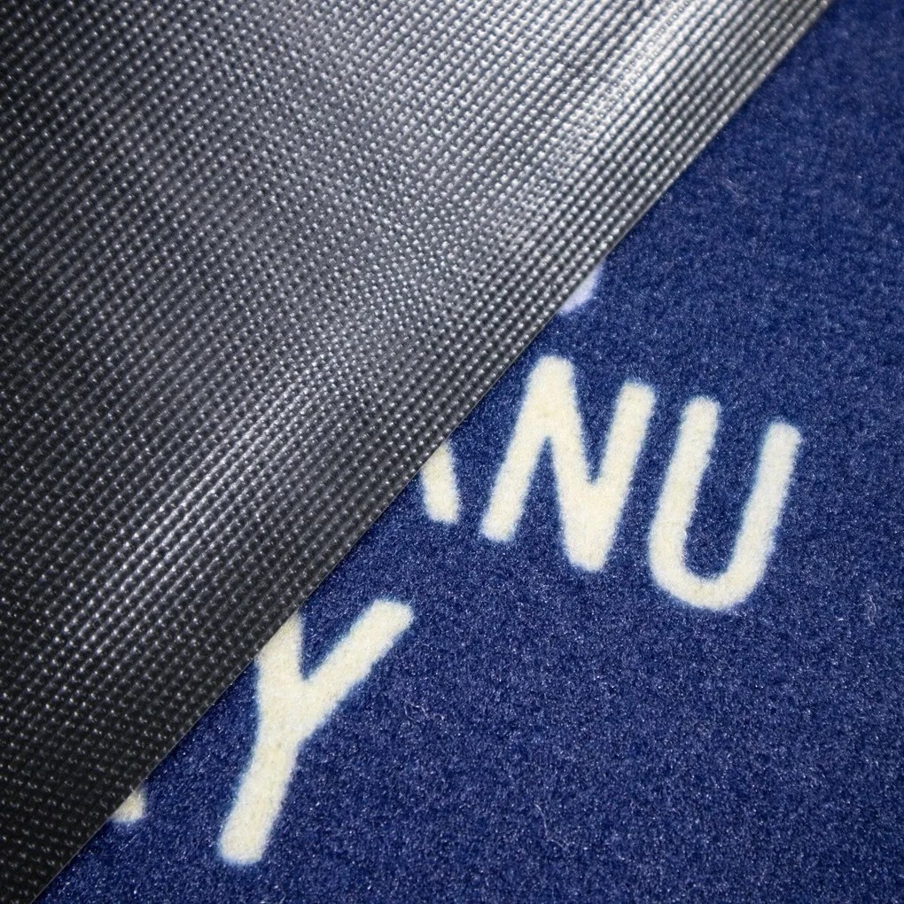 Mercury Flooring, Trenková rohožka 40x60 cm - na von aj na doma, 40x60, modrá