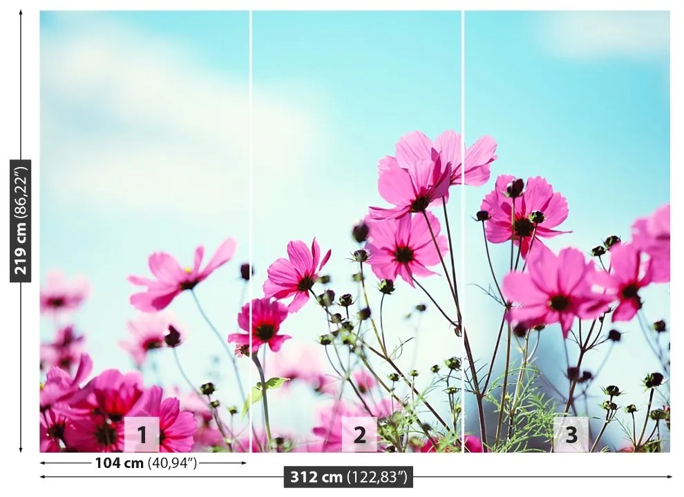 Fototapeta Vliesová Neba kvetina 208x146 cm