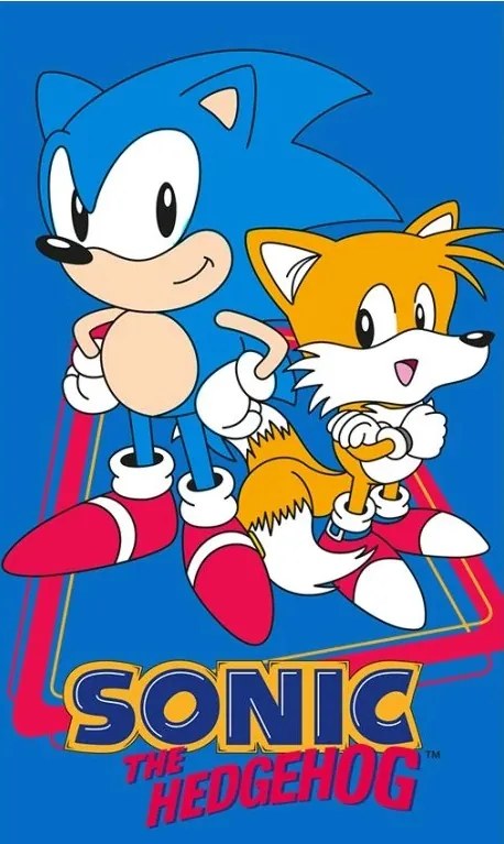 Detský uteráčik Ježko Sonic a Tails 30x50 cm