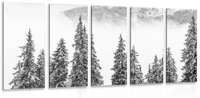 5-dielny obraz zasnežené borovicové stromy v čiernobielom prevedení Varianta: 100x50
