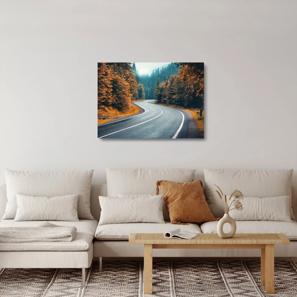 Sklenený obraz - Kľukatá cesta (70x50 cm)
