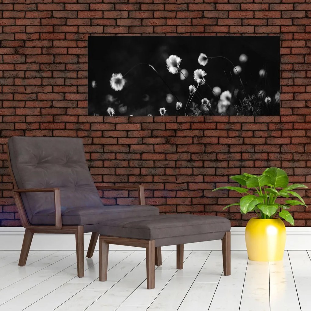 Obraz - Lúka s cottongrass N⁰1 (120x50 cm)