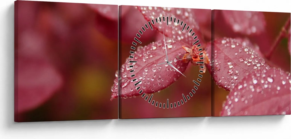 Obraz - Makro snímka lístka (s hodinami) (90x30 cm)