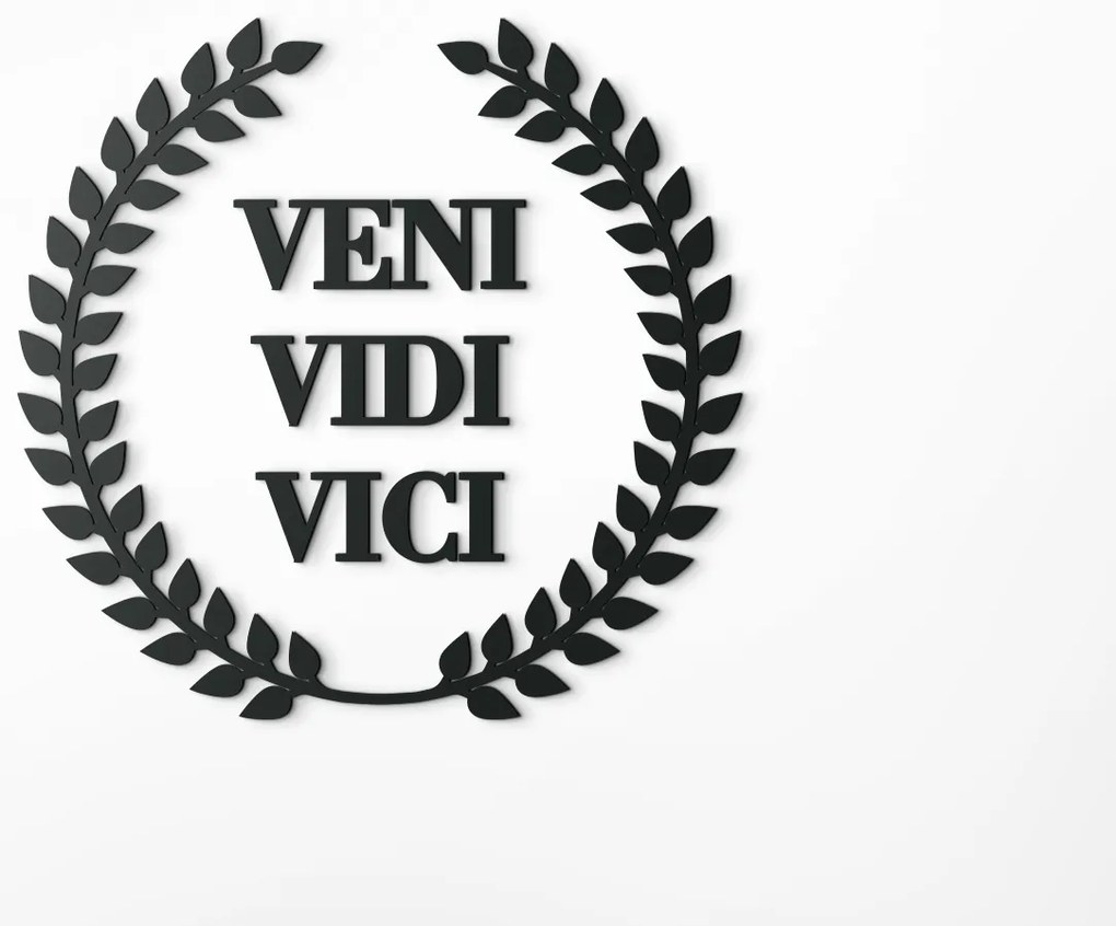 drevko Drevený nápis Veni vidi vici Rozmer obrazu: 44,5 x 46 cm, Farba dekorácie: Čierna