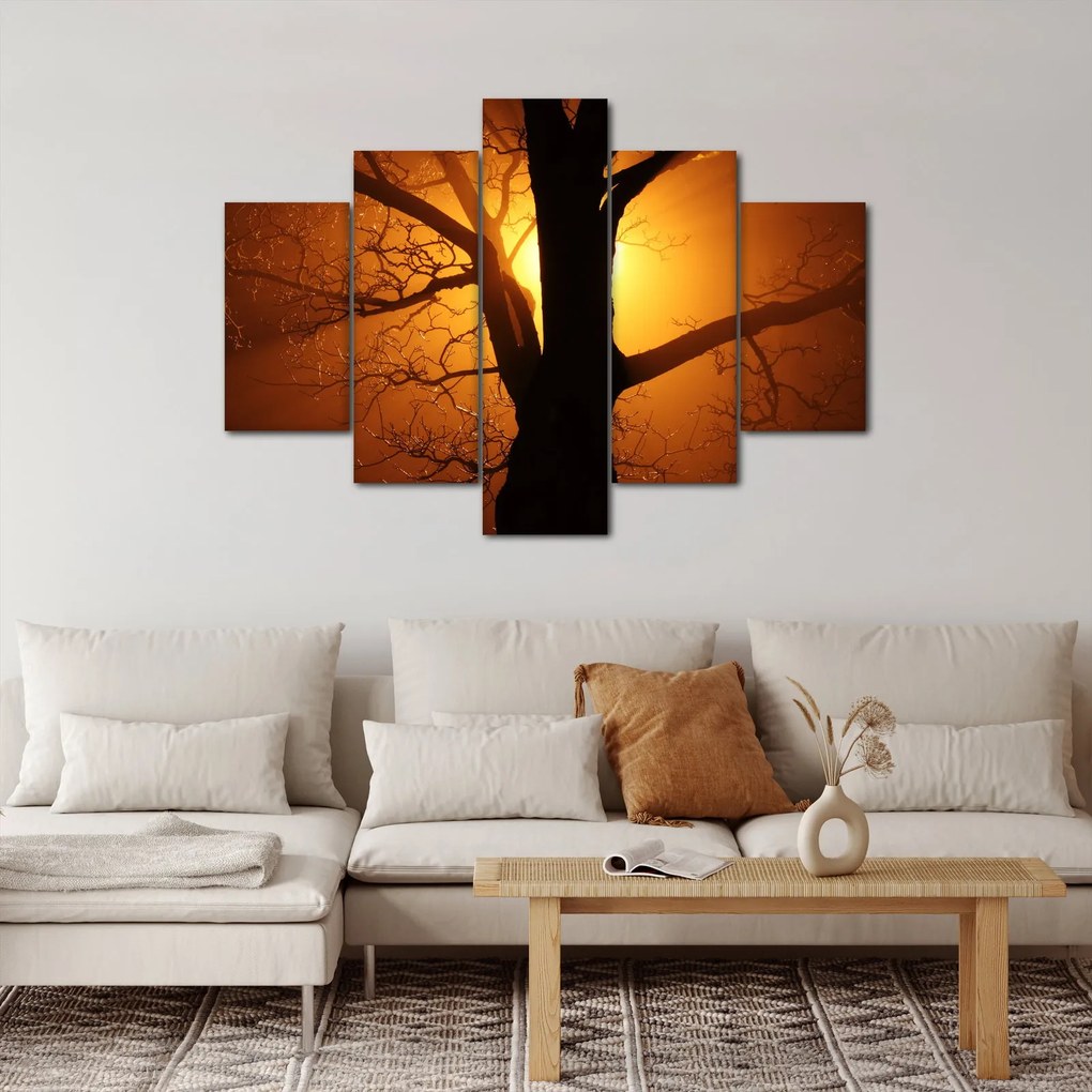 Obraz stromu pri západe slnka (150x105 cm)