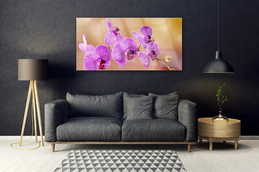 Obraz plexi Orchidea výhonky kvety príroda 120x60 cm