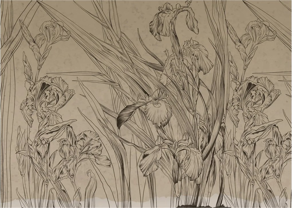 Obraz - Obrysy rastlín (70x50 cm)