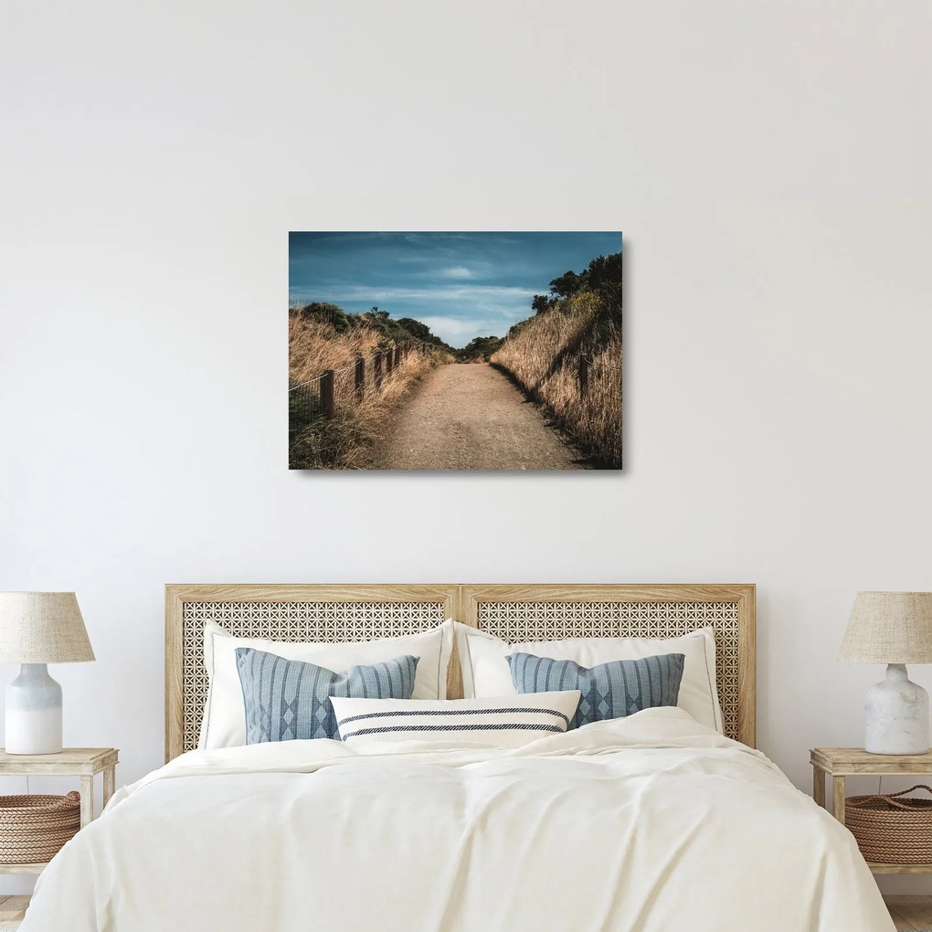 Sklenený obraz - Na chodníku (70x50 cm)