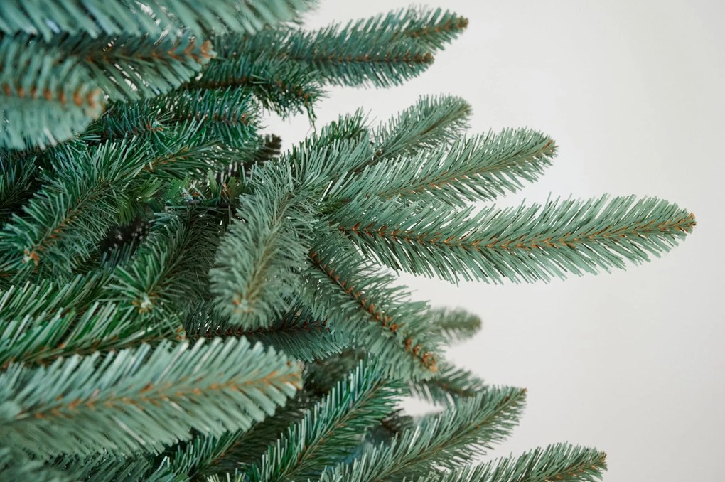 Jedlička strieborná 220cm