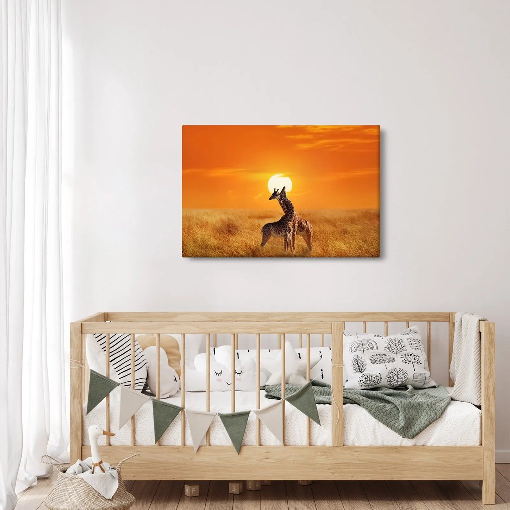 Obraz - Žirafy v národnom parku Serengeti (90x60 cm)