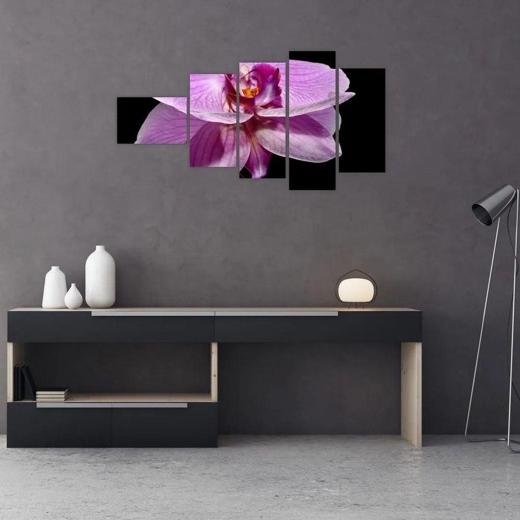 Obraz - orchidea