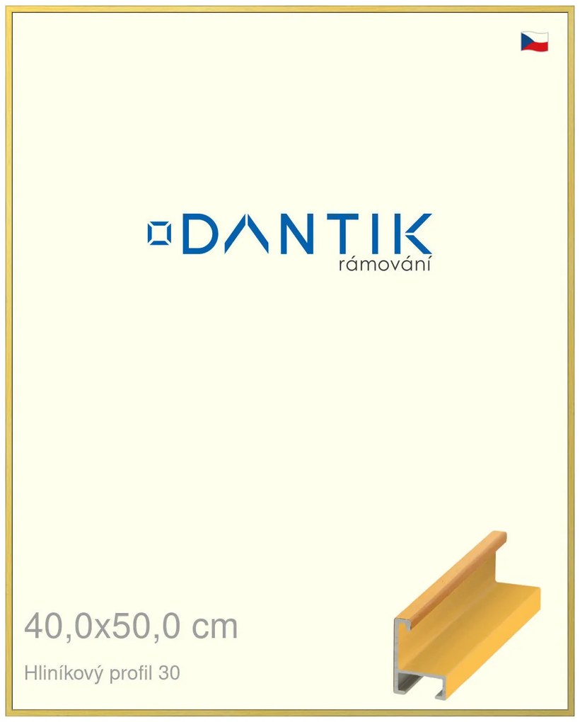 DANTIK rám na obraz 40x50 | ALU Dýha barevná žlutá (Plexi Čiré)