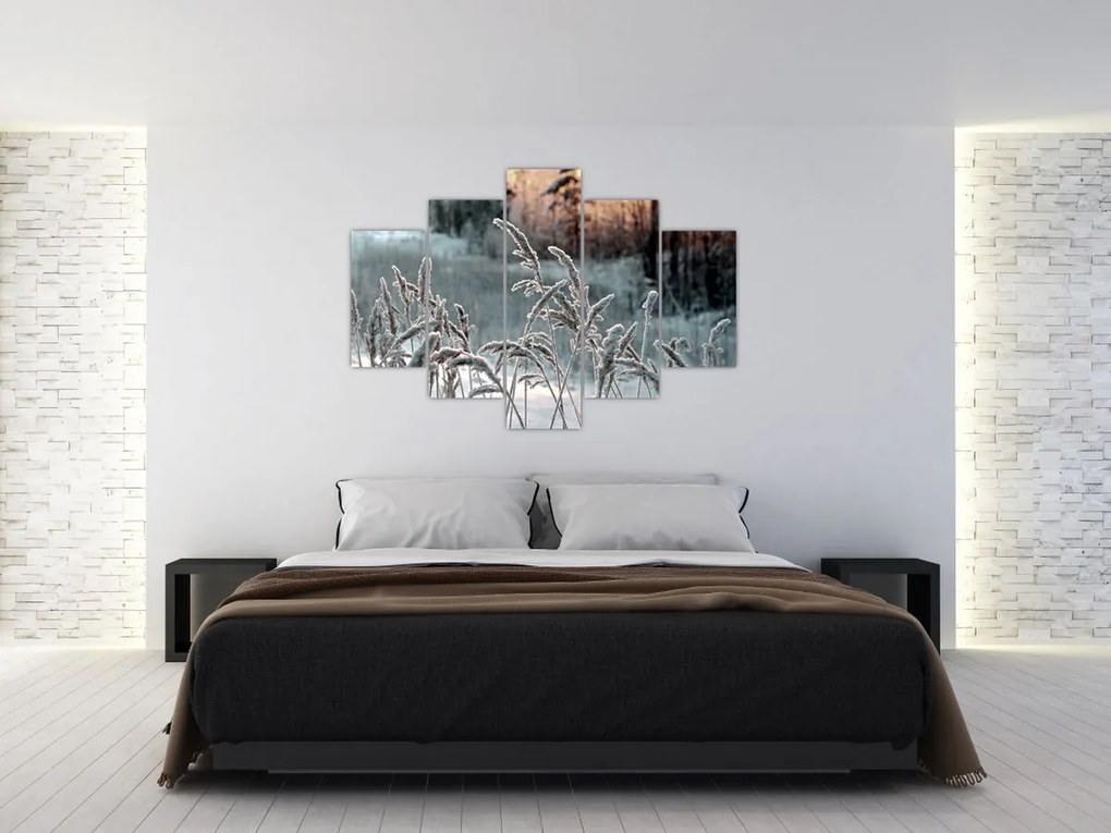 Obraz - Zamrznutá lúka (150x105 cm)