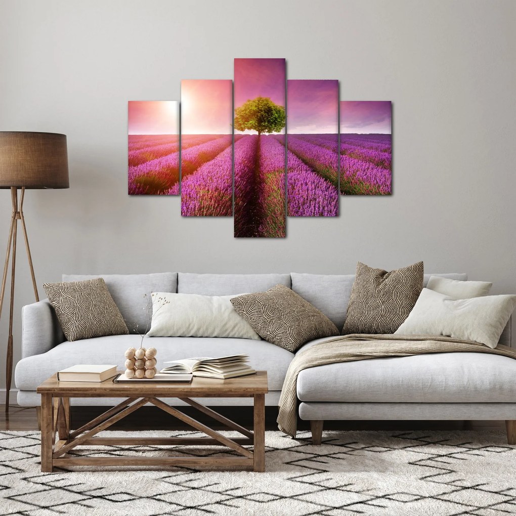 Obraz poľa s levanduľami (150x105 cm)