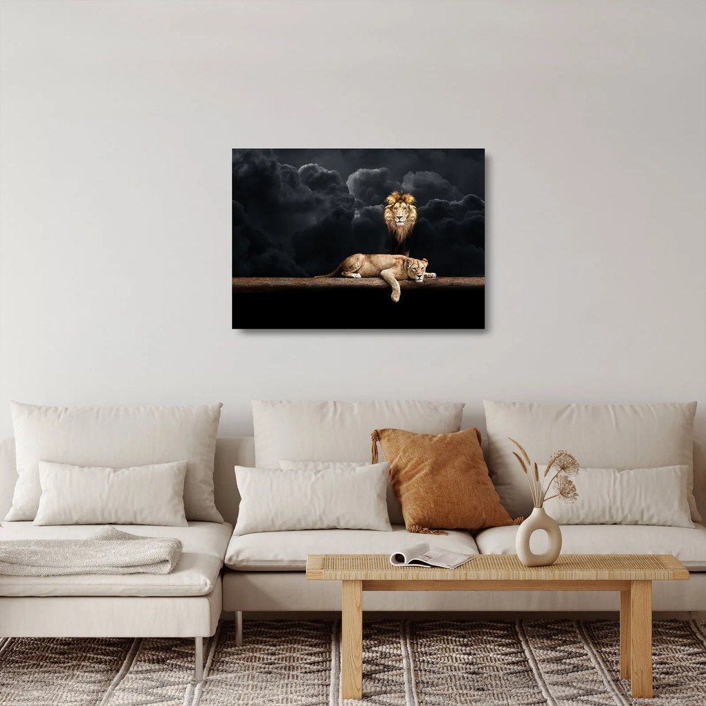 Sklenený obraz - Lev a levice v oblakoch (70x50 cm)