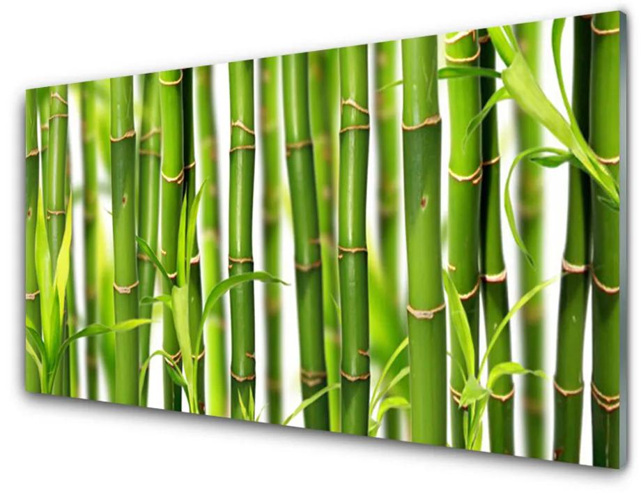 Sklenený obklad Do kuchyne Bambusové výhonky listy bambus 140x70 cm