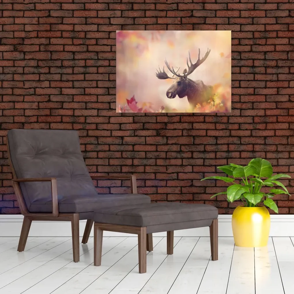 Obraz - Sob v jesennom lístí (70x50 cm)
