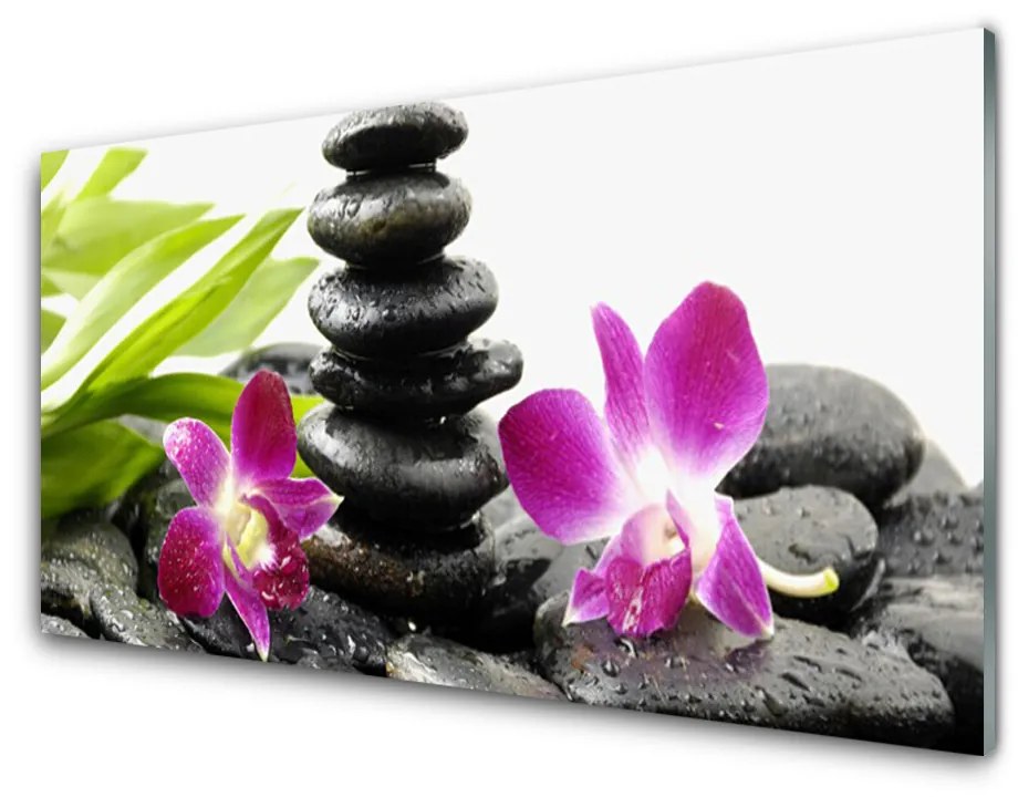 Skleneny obraz Kamene zen kúpele orchidea 100x50 cm