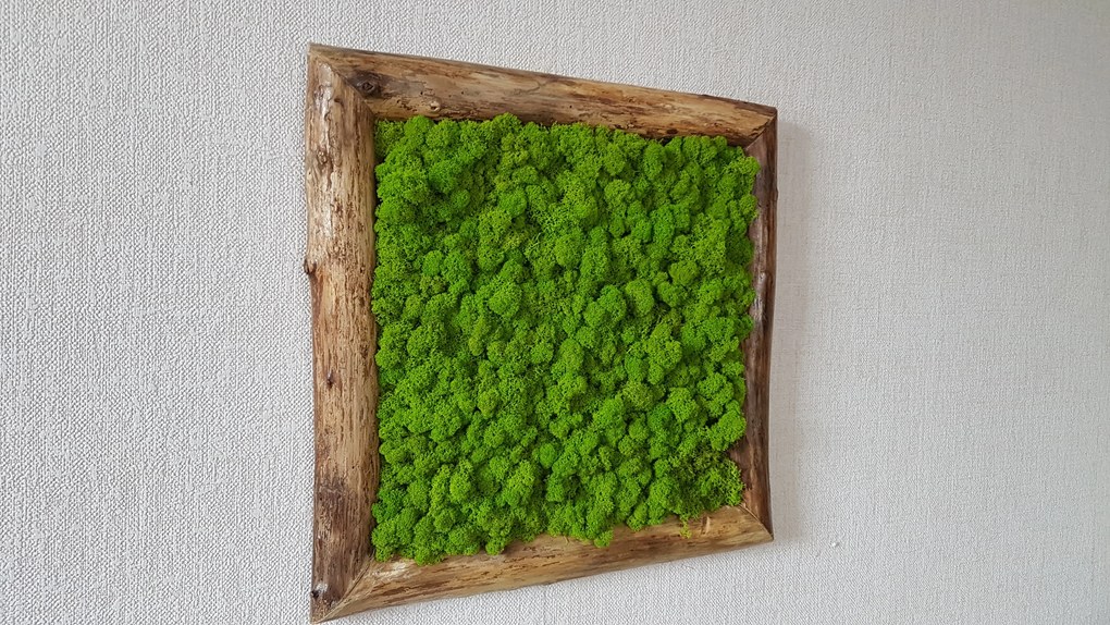 Machový obraz v masívnom ráme: 50cm x 50cm