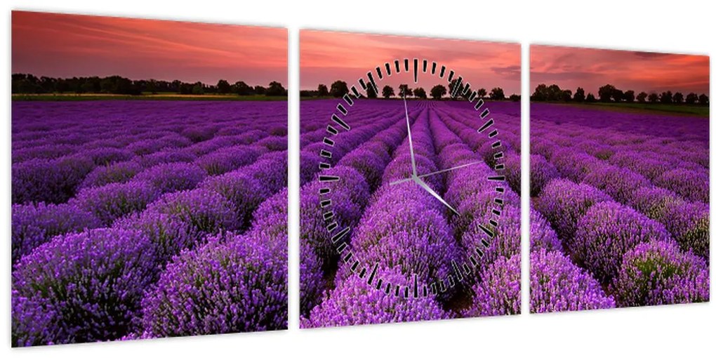 Obraz - Levanduľové pole (s hodinami) (90x30 cm)