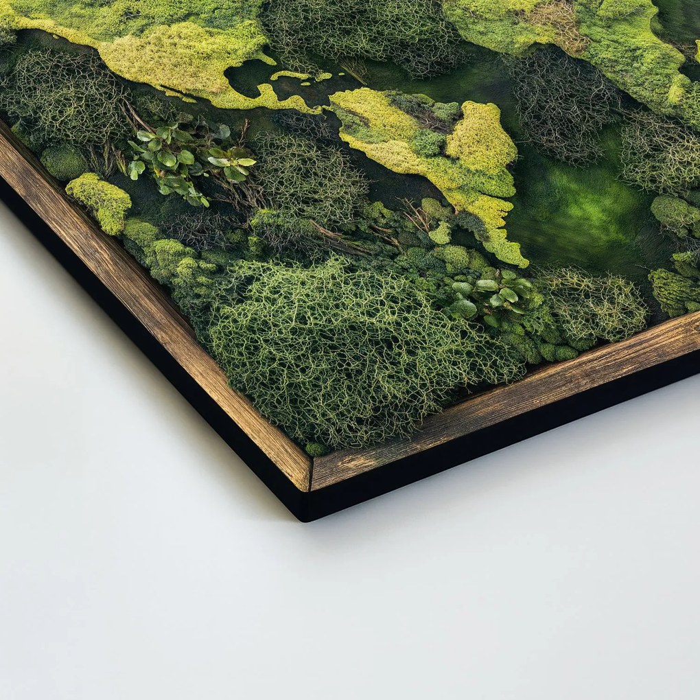 DUBLEZ | Machová imitácia mapy sveta - Obraz