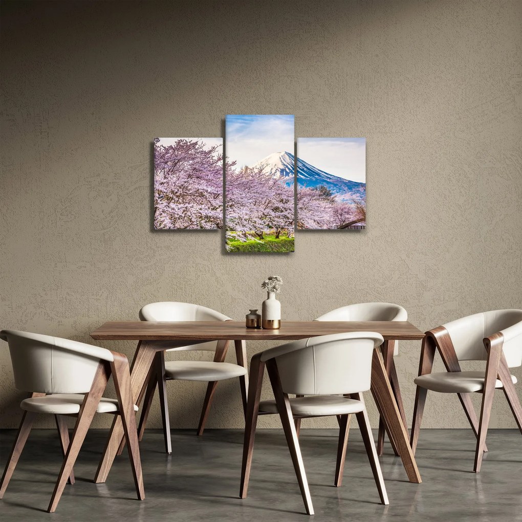 Obraz - Japonsko na jar (90x60 cm)